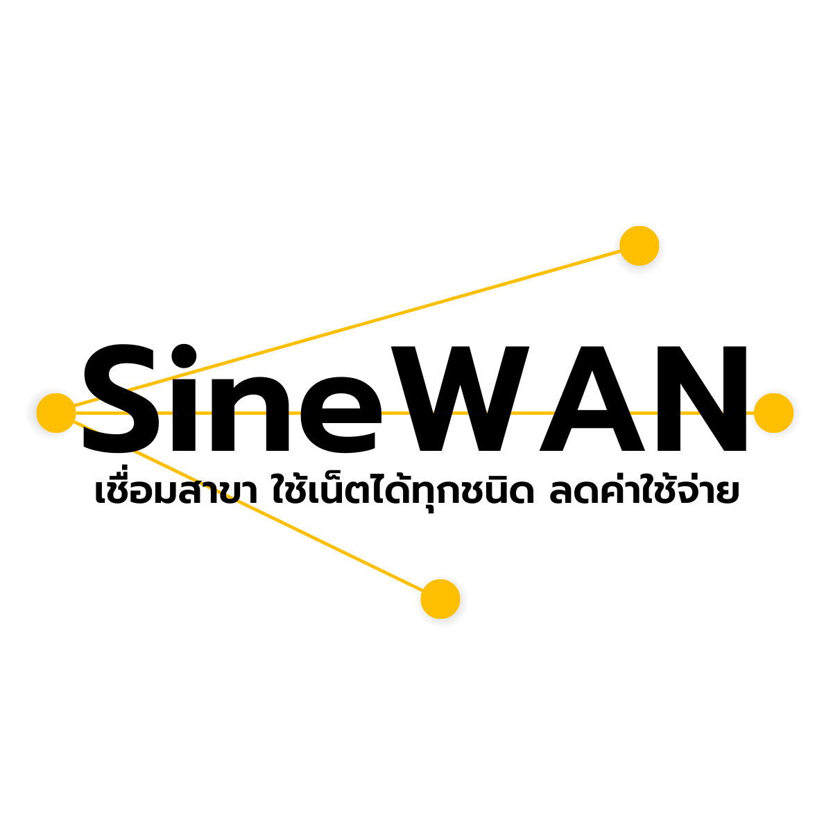 เชื่อมสาขา เชื่อมโยงเครื่อขาย LAN WAN SineWAN Internet อินเทอร์เน็ต เน็ตเวิร์ก Network เน็ตระหว่างสาขา 